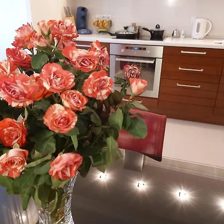 Lux Apartment, Liko Grad Apartment